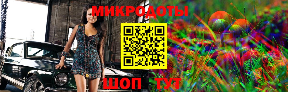 Галлюциногенные грибы мицелий Корсаков
